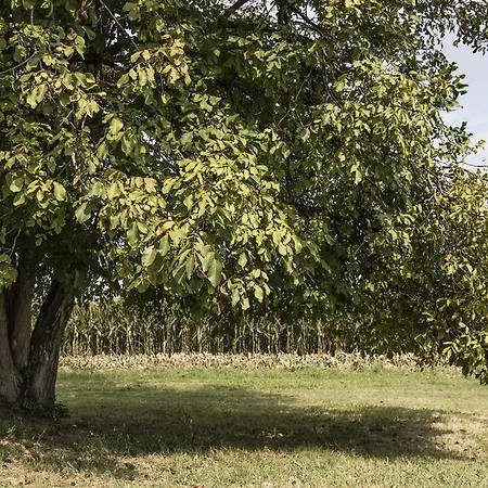 Alloggio per agriturismo Corte Ruffoni